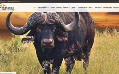 Thithombo Game Breeders proudly make use of Equadoor’s webdesign expertise and services